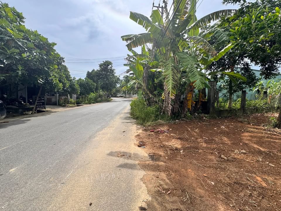 Đất ở Hòa Ninh Đà Nẵng 340m² - Phù hợp xây nhà sân vườn hoặc kho