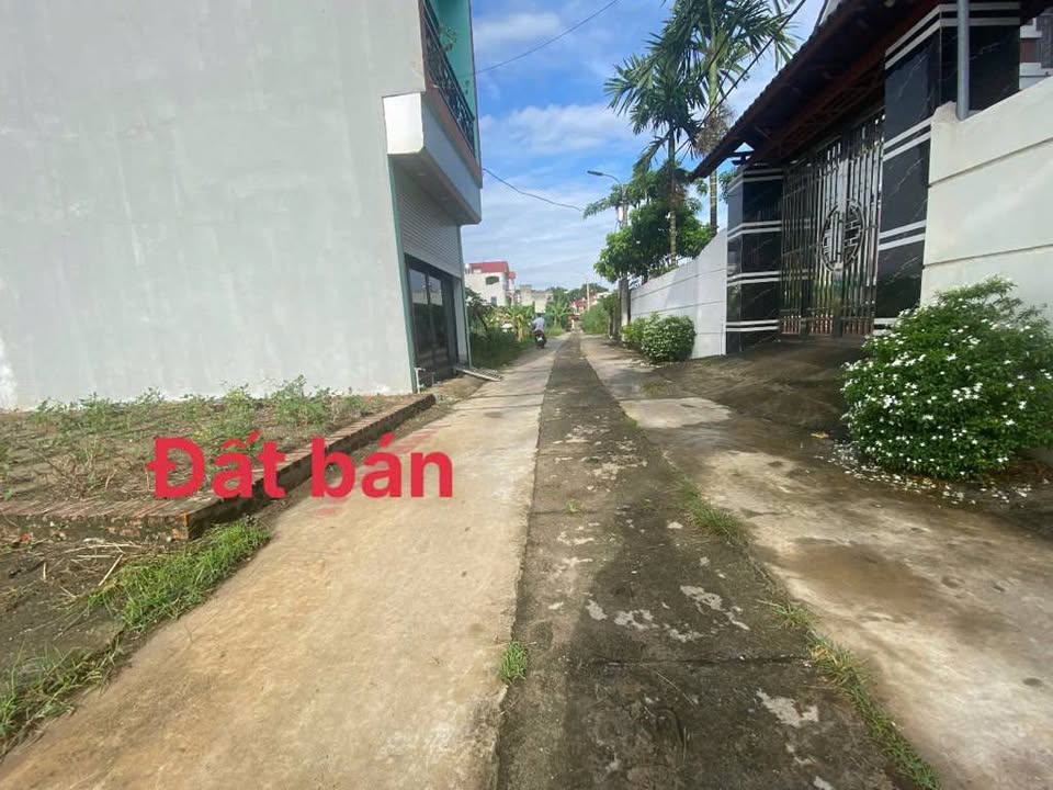 Đất nền Quang Minh 60.3m² giá 3.588 tỷ - Đường rộng ô tô chạy thoải mái!