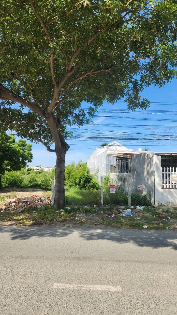 Đất thổ cư chính chủ Tân An, Ninh Hải, Ninh Thuận 189m² giá 2.2 tỷ - Thương lượng ngay!