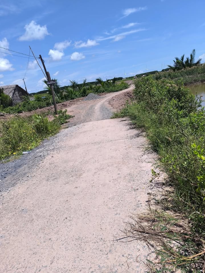 Đất nuôi tôm 60.000m² Bảo Thạnh, Ba Tri, Bến Tre - Giá chỉ 7.2 tỷ, đầu tư sinh lời!