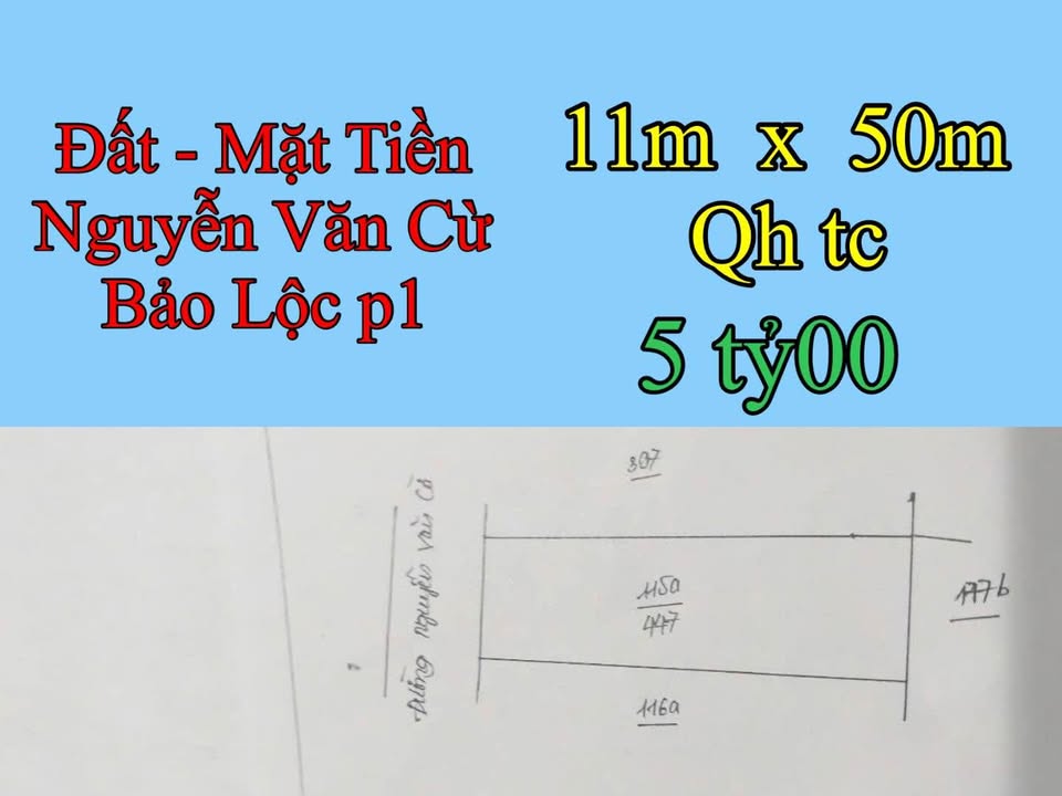 Đất mặt tiền Nguyễn Văn Cừ, Bảo Lộc 550m² giá 5 tỷ - Cơ hội đầu tư tuyệt vời!