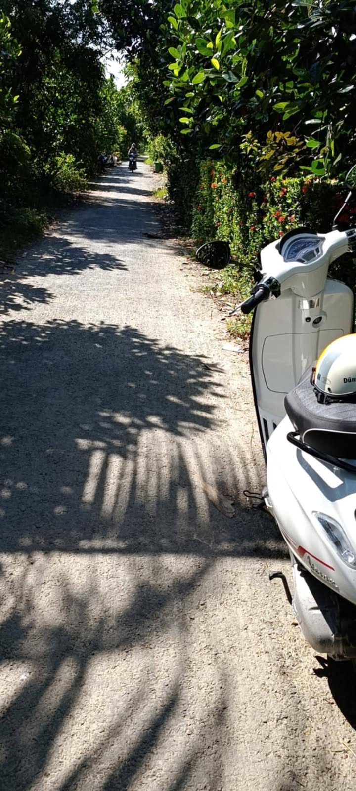 Đất nền ấp 5, xã Mỹ Hòa, huyện Tháp Mười 1200m² giá 1.2 tỷ - Đầu tư sinh lời hấp dẫn!