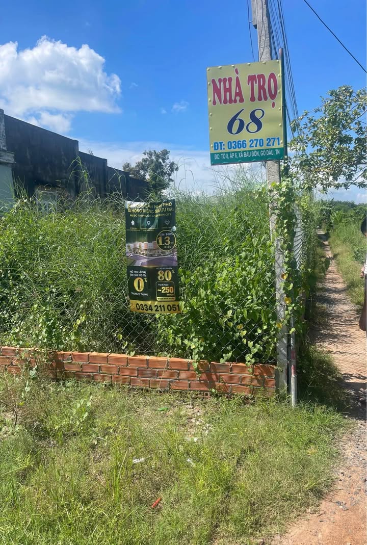 Đất thổ cư Ấp 6 Bàu Đồn 320m² giá 2.2 tỷ - Cơ hội đầu tư sinh lời!