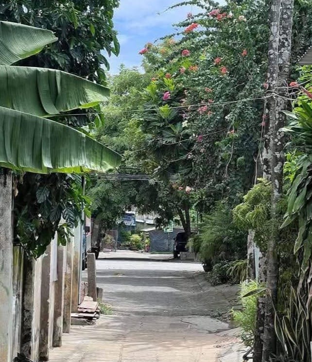 Đất nền Trần Cẩm, Lê Hồng Phong, 139m² giá 1 tỷ - Cơ hội đầu tư tuyệt vời!