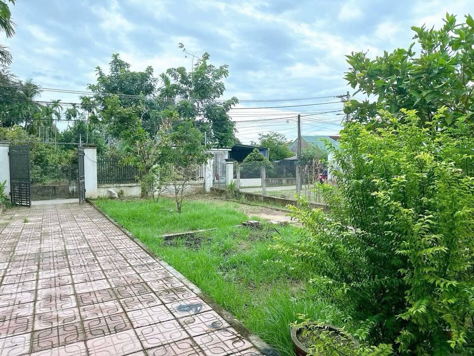 Đất nền 436m² tại Nghĩa Điền, Tư Nghĩa - Hướng Đông, giá chỉ 1.9 tỷ!