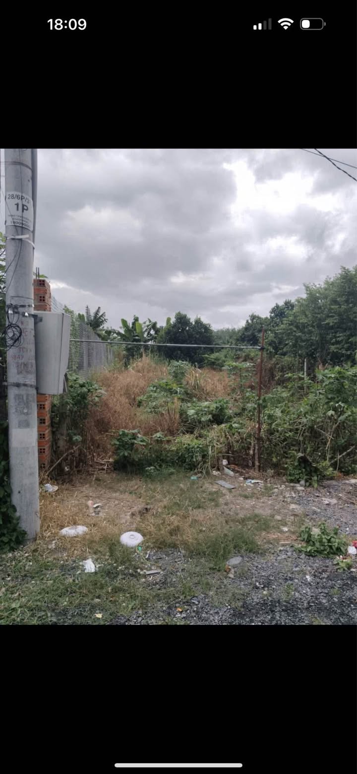 Đất nền phường Long Hoa, Tây Ninh 224m² giá chỉ 101 triệu - Cơ hội đầu tư tuyệt vời!