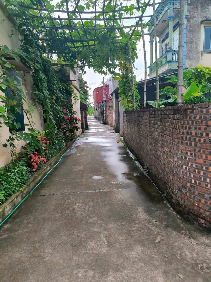 Đất nền 100m² tại Mão Điền, Thuận Thành - Chỉ 1,5 tỷ - Khu dân cư văn minh!