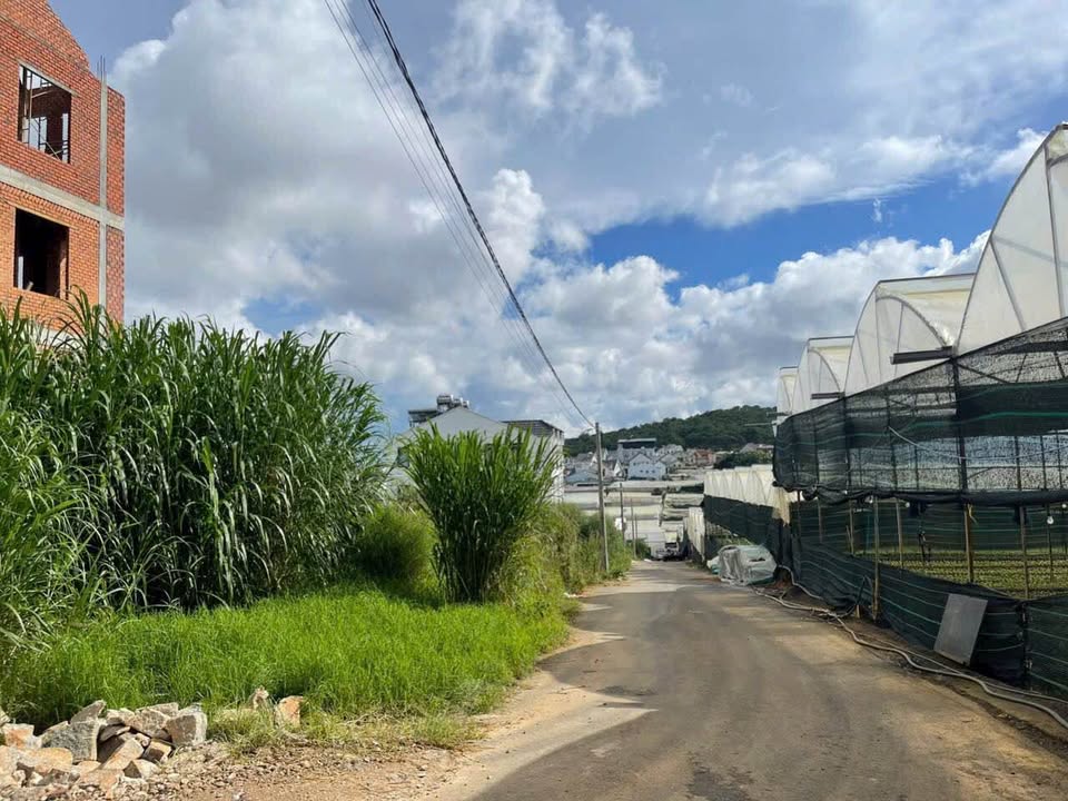 Đất đẹp 235m² đường Thái Phiên, Đà Lạt - Giá thương lượng hấp dẫn