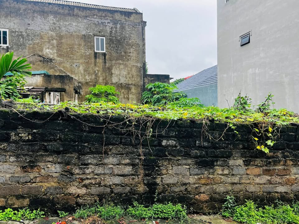 Đất thổ cư 135m² tại Tiên Cát, Việt Trì - Sổ đỏ chính chủ, Giá chỉ 6.021 tỷ!