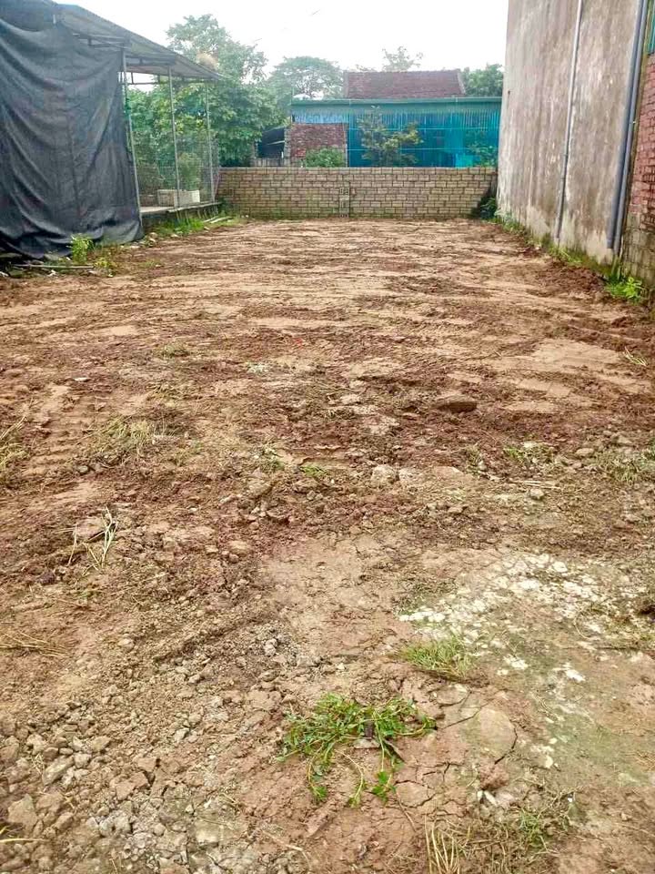 Bán đất Đa Lộc, Hậu Lộc 104m² giá 1.1 tỷ - Vị trí đẹp, tiện ích đầy đủ!