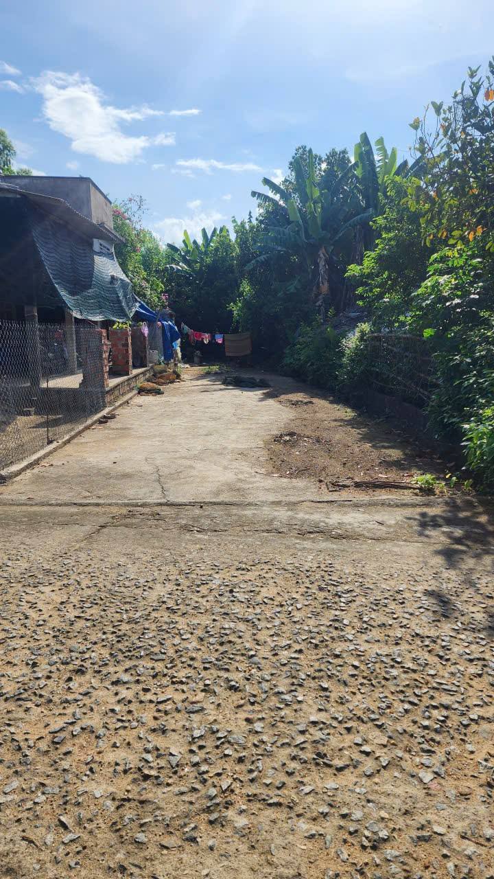 Đất nền Đức Hòa Mộ Đức 160m² giá 290 triệu - Cơ hội đầu tư hấp dẫn!