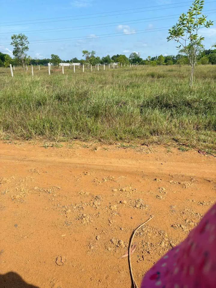 Đất nền xã Hòa Hội, huyện Xuyên Mộc 1000m² giá chỉ 600 triệu - Cơ hội đầu tư hấp dẫn!