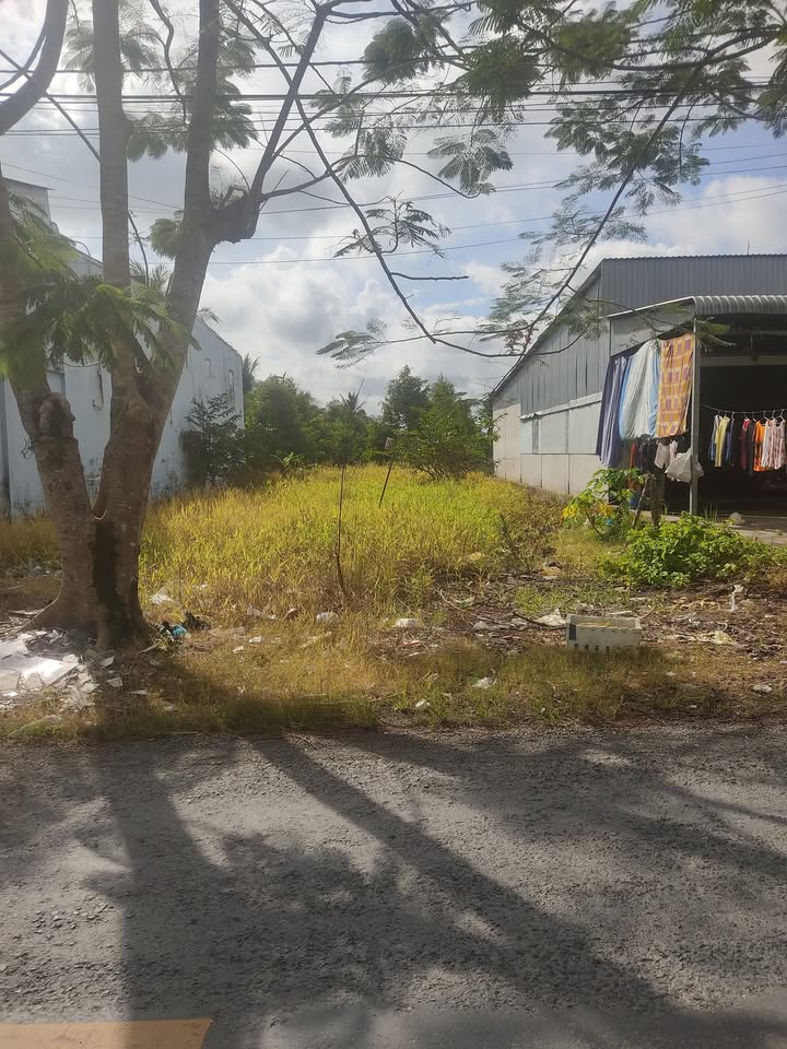 Đất nền 600m² tại Châu Thành A, Cần Thơ - Giá chỉ 1.35 tỷ, phù hợp kinh doanh!