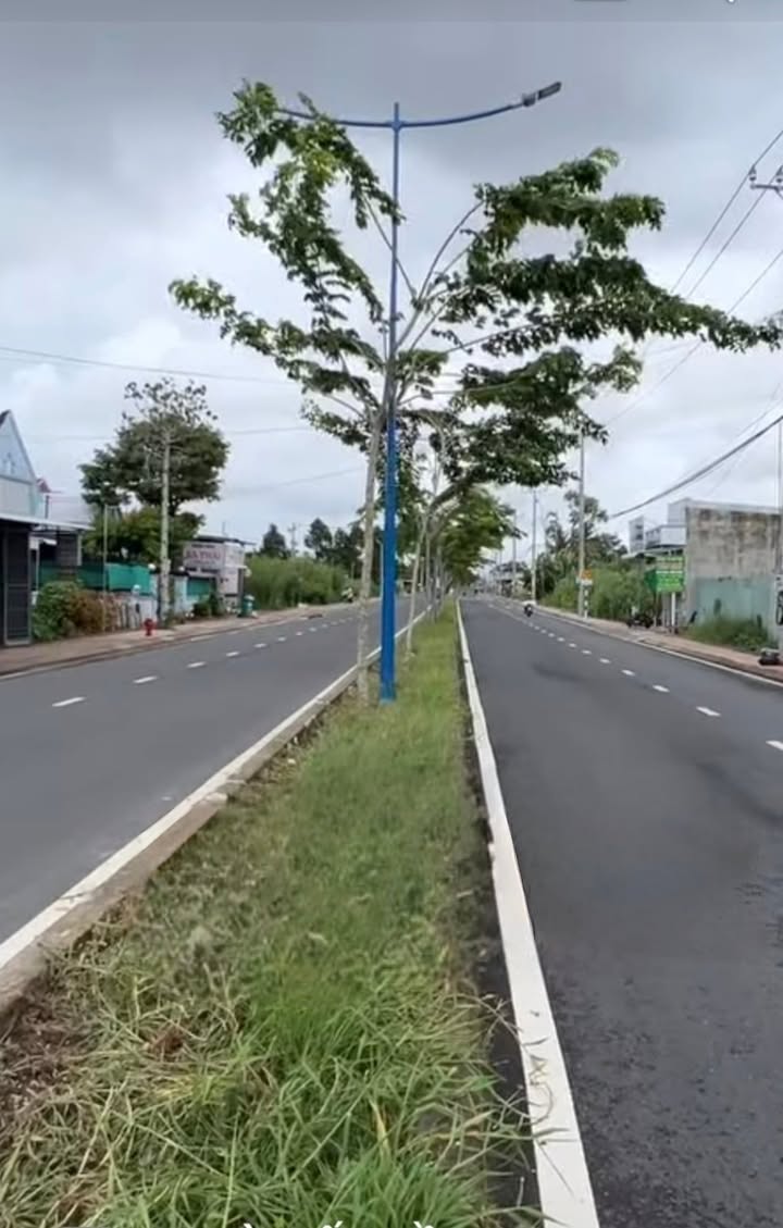 Đất nền mặt tiền Thái Thị Hạnh, Thới Mỹ, 244m² giá 4.5 tỷ - Khu vực đông đúc, mua bán sầm uất!