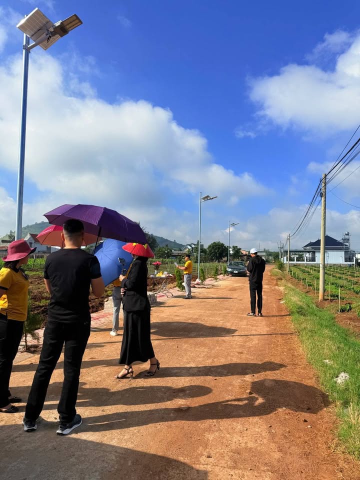 Đất nền Tân Phú, Đức Trọng 75m² giá 785 triệu - Sổ hồng riêng, hỗ trợ vay ngân hàng!