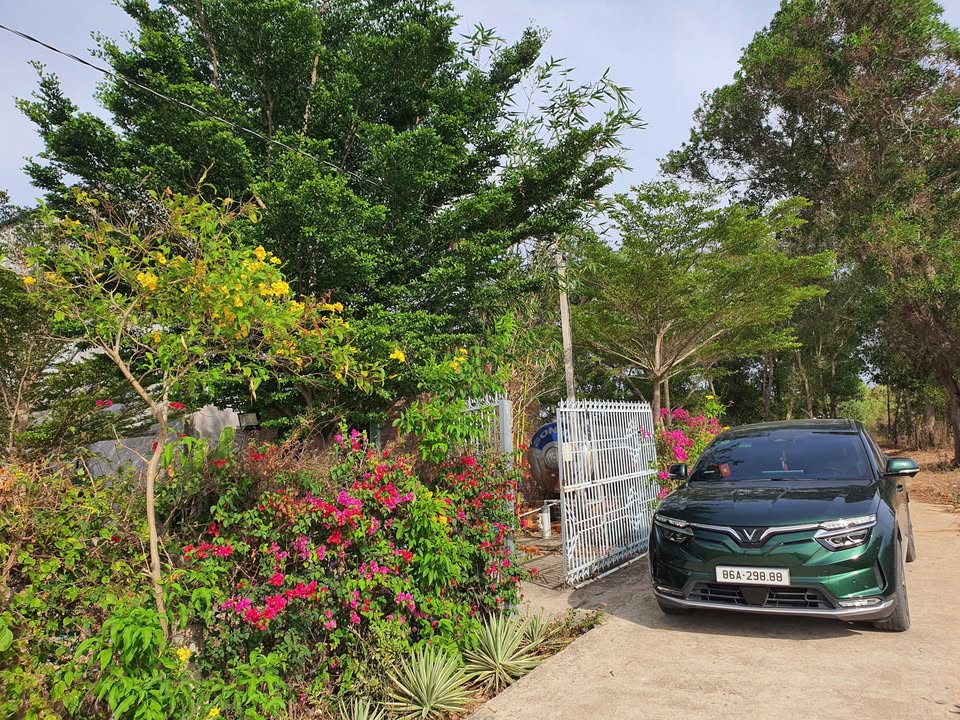 Nhà yến 3 tầng tại Phú Long, Hàm Thuận Bắc 1865m² - Đầu tư sinh lời ngay!