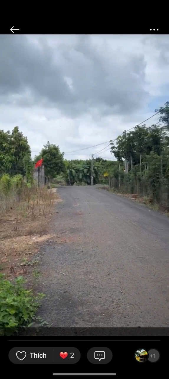 Đất Hòa Hiệp Xuyên Mộc 2400m² giá 1.35 tỷ - Mặt tiền đường nhựa rộng rãi!