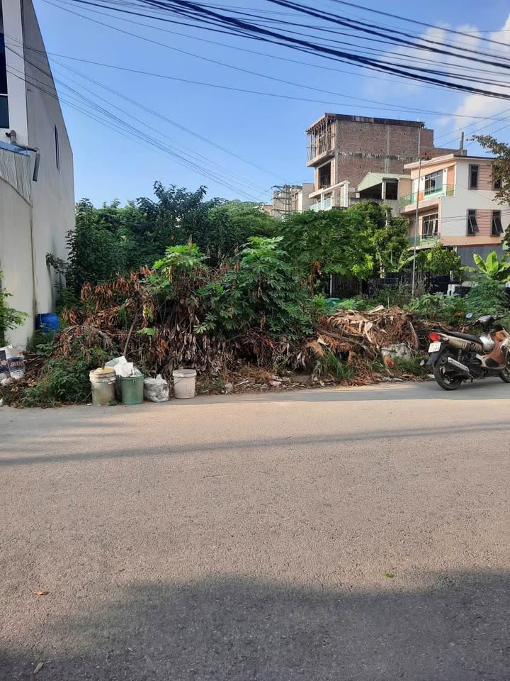 Đất thổ cư 100m² tại Bình Lâm, Yên Lạc giá 2.6 tỷ - Đầu tư sinh lời lý tưởng!