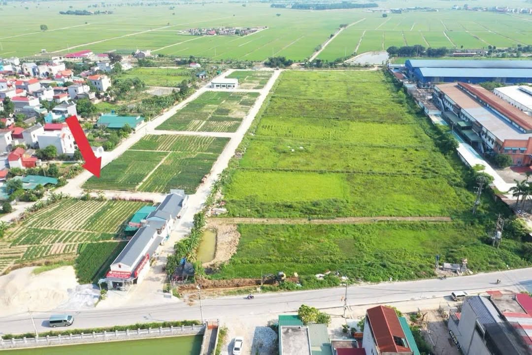 Đất nền Bình Giang Hải Dương 100m² giá chỉ 1,5 tỷ - Cơ hội đầu tư không thể bỏ lỡ!