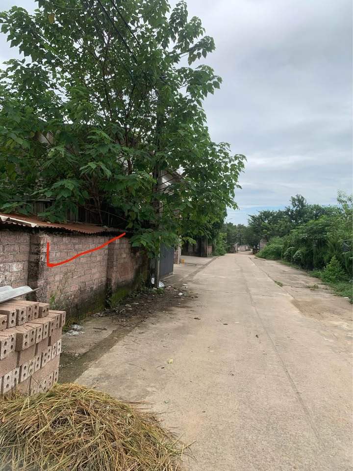 Đất nền Tùng Thiện Sơn Tây 90m² giá chỉ 1.4 tỷ - Đầu tư sinh lời ngay!