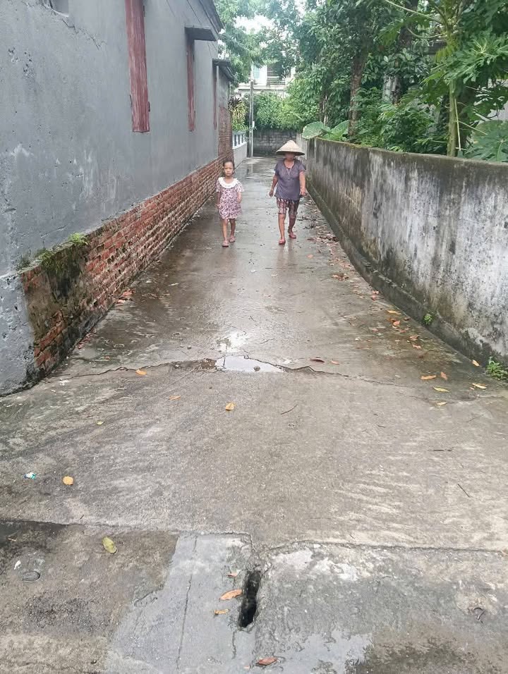 Đất thổ cư thôn Lan, xã An Lão, Bình Lục, Hà Nam diện tích 170m² - Khu dân cư đông đúc, giá thỏa thuận!