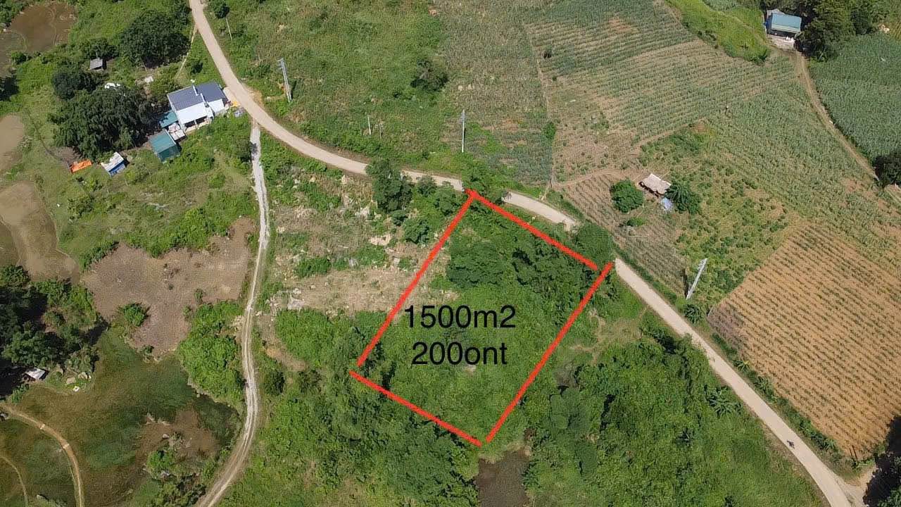 Đất nền Xóm Úng, xã Phú Vinh 1500m² giá 699 triệu - Đầu tư sinh lời ngay!