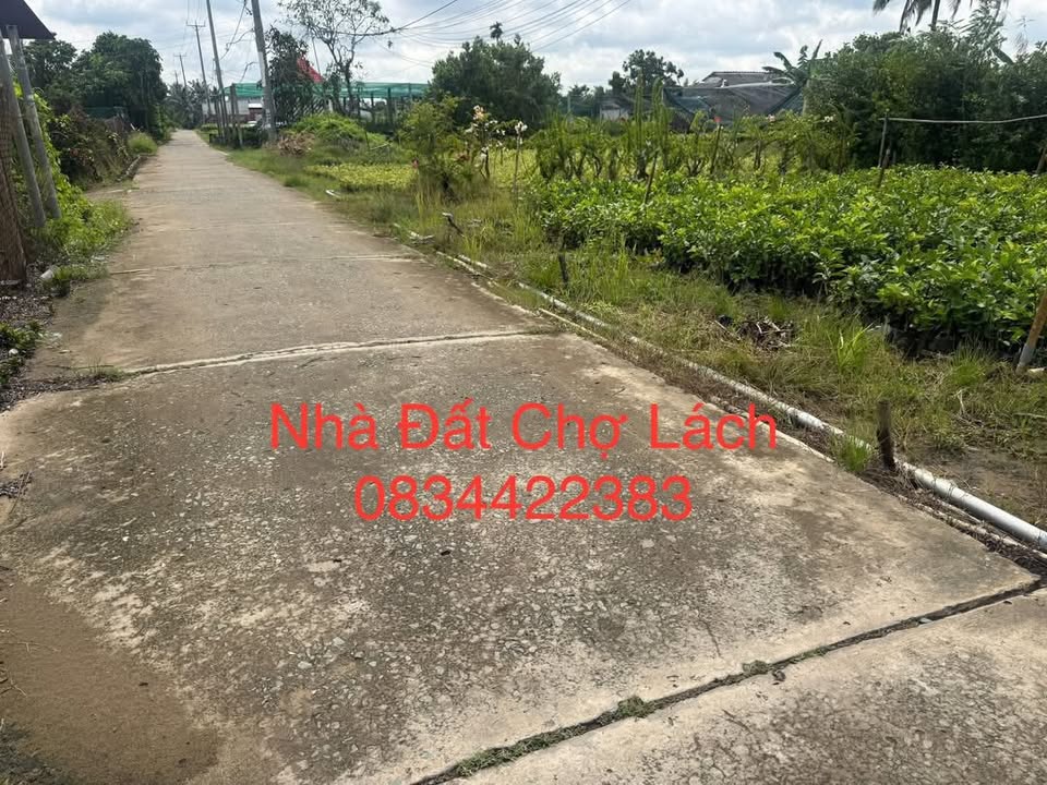 Đất mặt tiền xã Vĩnh Thành Mới 1730m² giá chỉ 2.6 tỷ - Cơ hội đầu tư hấp dẫn!