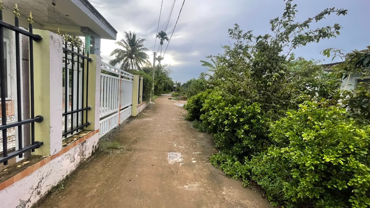 Đất nền Vĩnh Thành, Chợ Lách 630m² giá 550 triệu - Cơ hội đầu tư hấp dẫn!