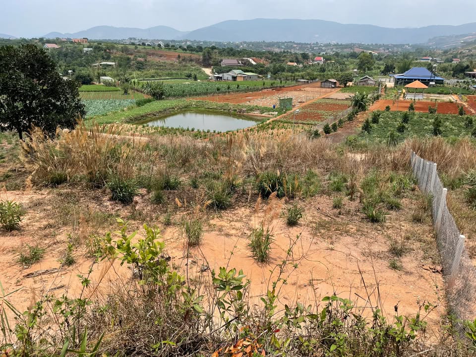 Đất nền VIP tại Nam Ban Lâm Hà 790m² giá 2 tỷ - Đầu tư sinh lời ngay!