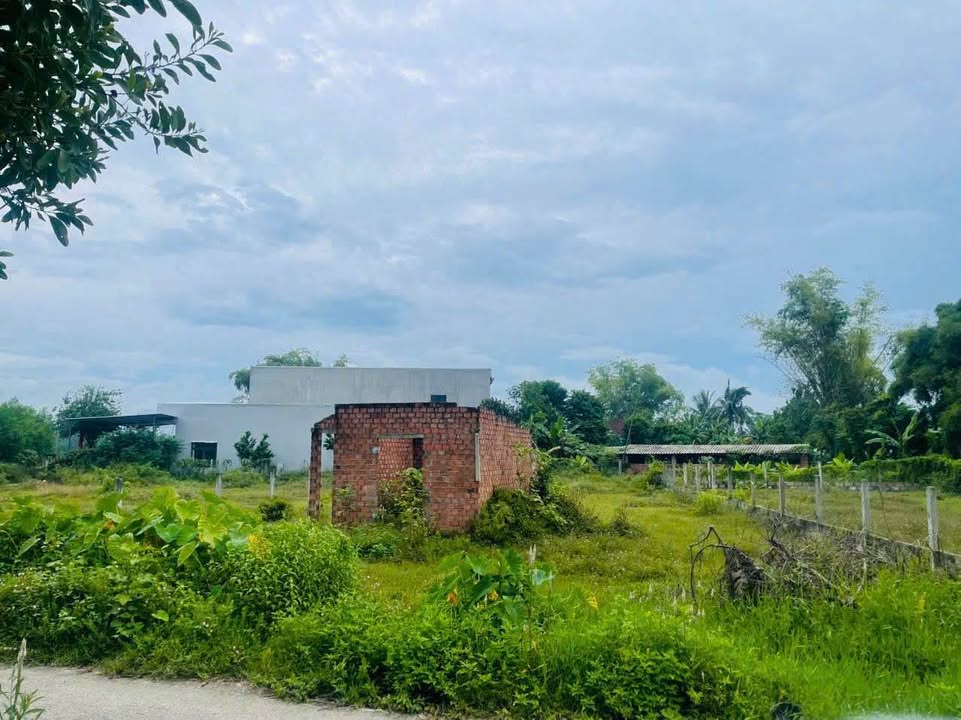 Đất nền Cẩm Toại Tây, Hòa Phong, Đà Nẵng 498m² giá 2 tỷ - Đầu tư sinh lời hấp dẫn!