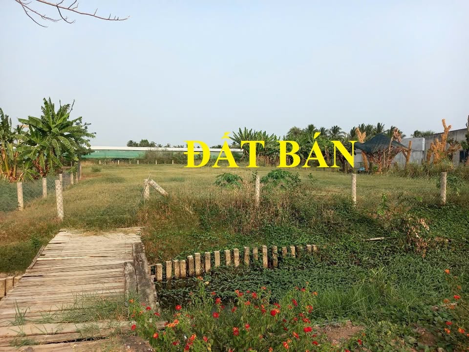 Đất mặt tiền xã Bình Phục Nhứt 980m² giá 2 tỷ - Đầu tư sinh lời ngay!