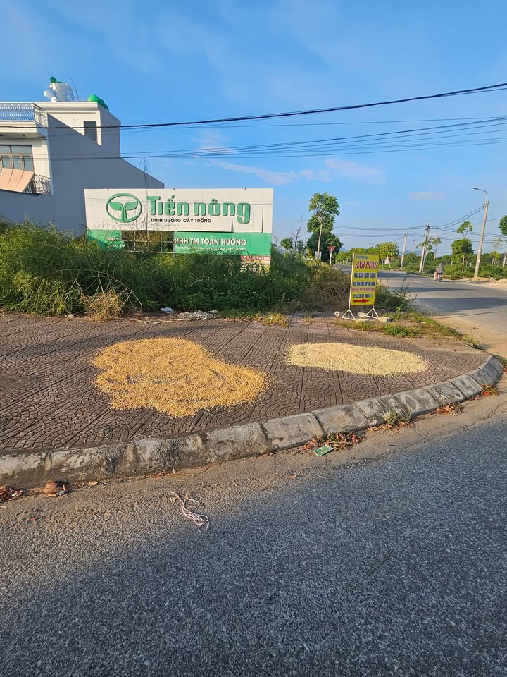 Đất cho thuê lâu dài tại ngã 4 đường Từ Thức, 500m² - Mặt tiền rộng 50m