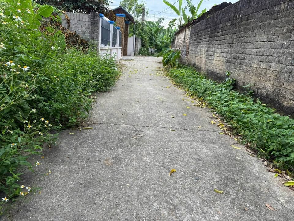 Đất ở đô thị xã Hiệp Hòa, huyện Yên Phong, Bắc Ninh 136m² - Giá chỉ từ vài trăm triệu!