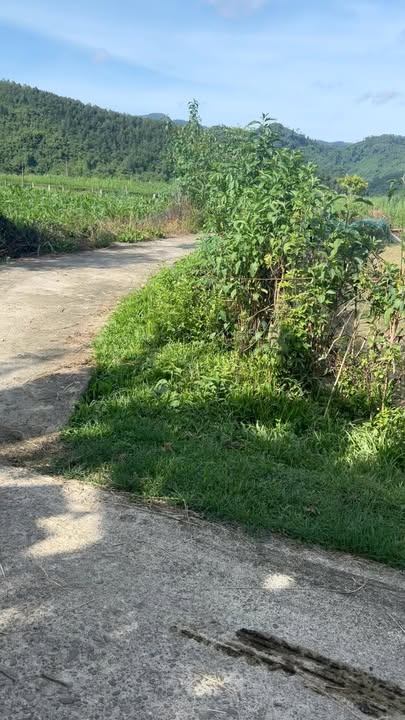 Đất chính chủ Hương Sơn 411m² - Đầu tư sinh lời lý tưởng!