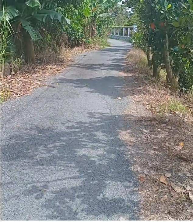 Đất mặt tiền đường nhựa 24, ấp Mỹ Lược, Cái Bè, 2500m² - Bán gấp chỉ 800 triệu!