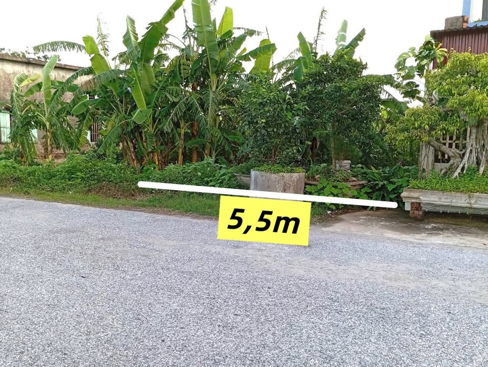 Đất mặt đường Bình Lạc Giao Thủy 170m² giá chỉ 700 triệu - Cơ hội đầu tư tuyệt vời!