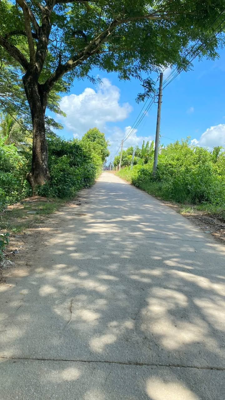 Đất nền 200m² đường 19/5, phường 5, TP Sóc Trăng - Giá chỉ 850 triệu!