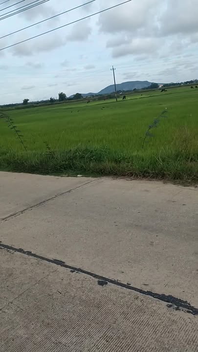 Đất nền Phổ Văn, Đức Phổ 161m² giá 600 triệu - Đầu tư sinh lời tuyệt vời!