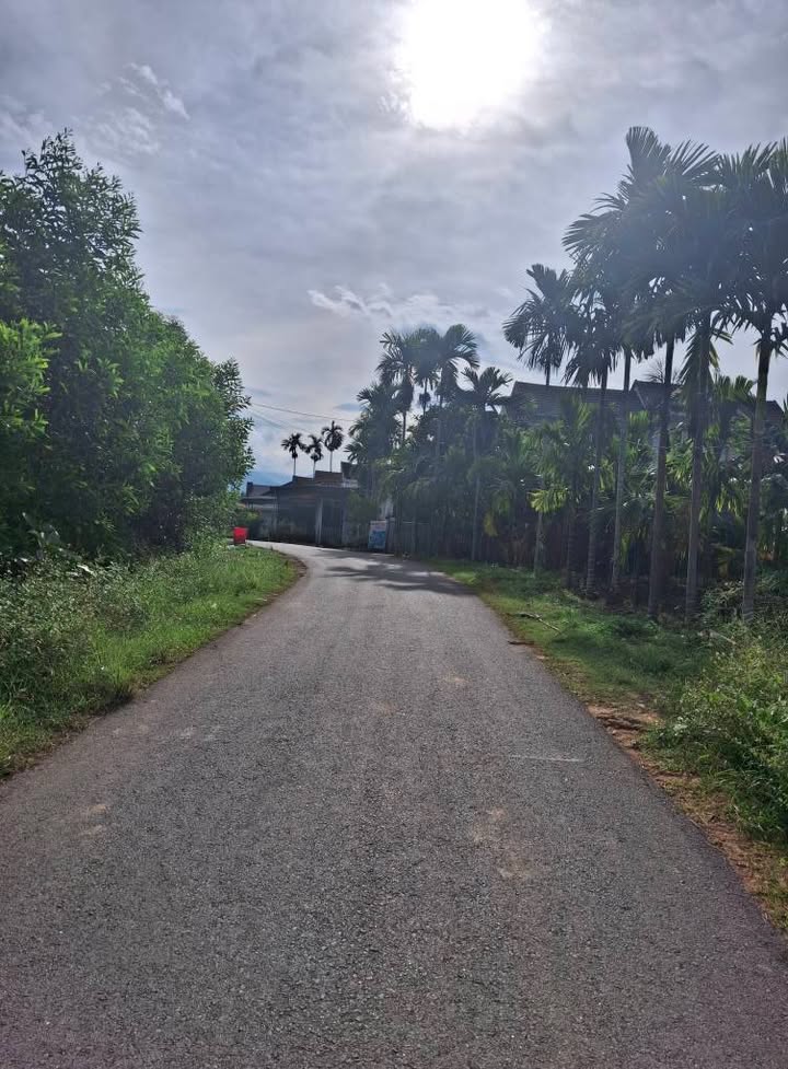 Đất nền Long Sơn Minh Long 175m² giá thỏa thuận - Đầu tư lý tưởng!