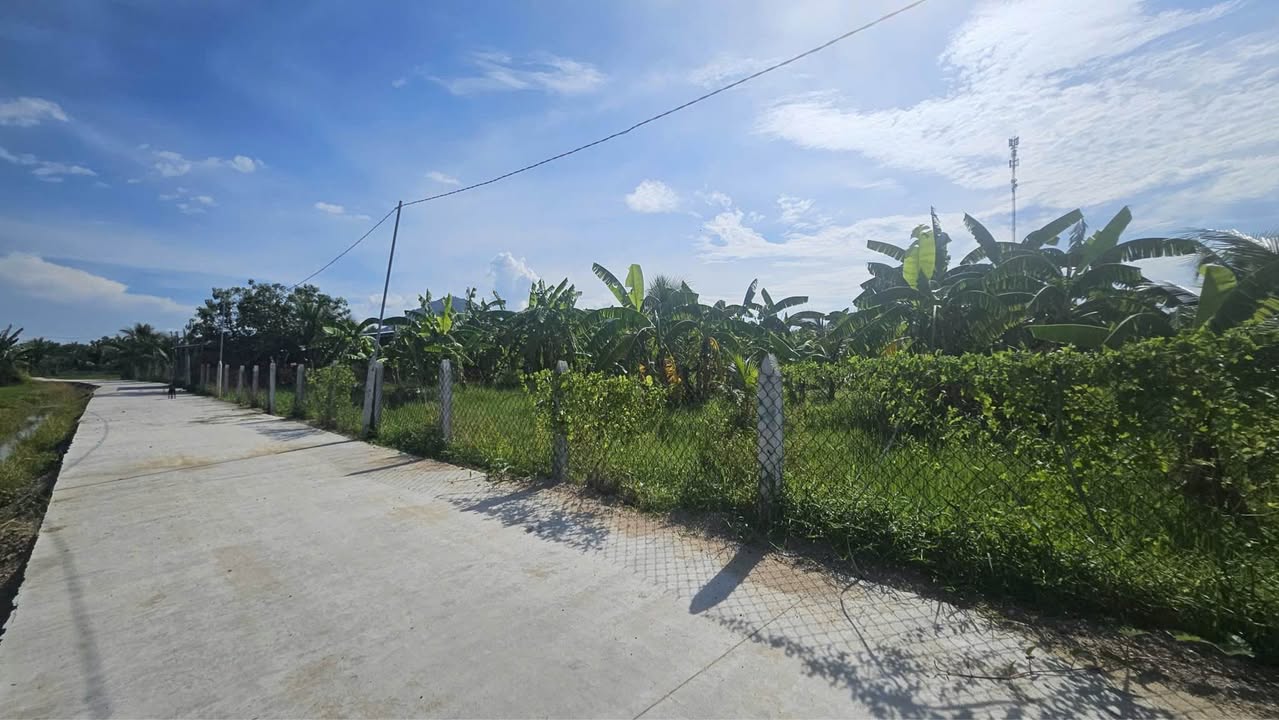 Đất nền Bảo An, Phan Rang-Tháp Chàm 2267m² giá chỉ 2.267 tỷ - Không gian sống lý tưởng!