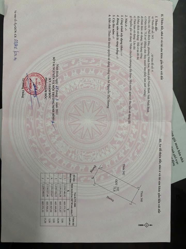 Đất nền lô góc 2 mặt tiền phố Bích Đào Ninh Sơn 75.8m² - Giá chỉ 4 tỷ VND!