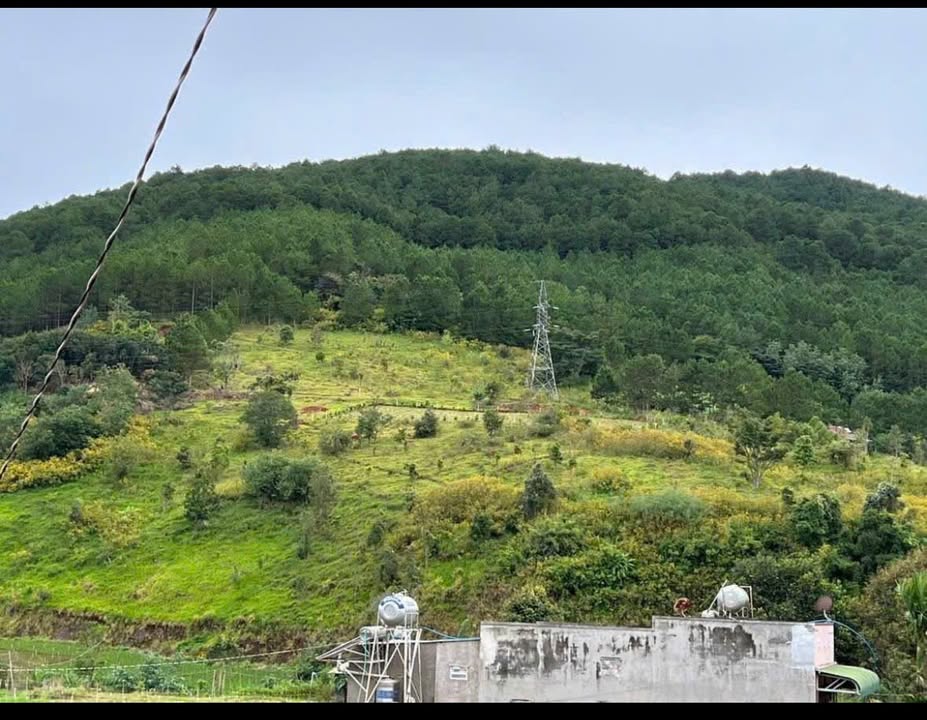 Đất Hiệp An, Đức Trọng 133m² giá 1.2 tỷ - Gần trung tâm Đà Lạt, bán gấp!