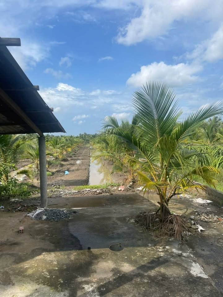 Đất ở xã Đăng Hưng Phước, Chợ Gạo, Tiền Giang 1489m² - Giá chỉ 680 triệu!