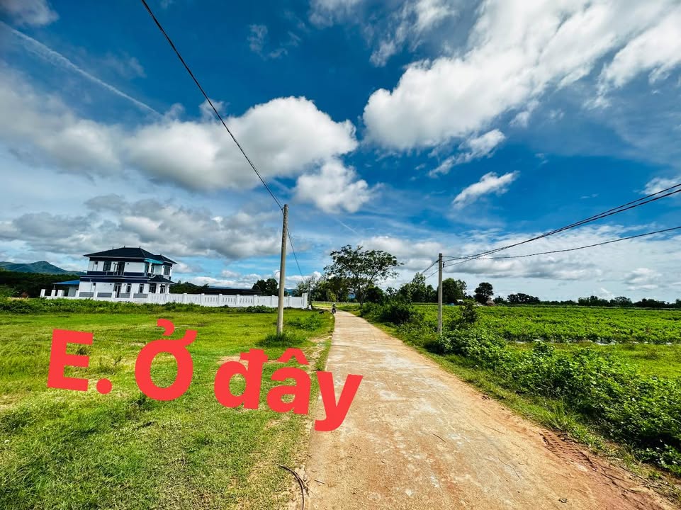 Đất thổ cư tại Phú Hưng, Bình Tân 380m² giá chỉ 450 triệu - Đầu tư lý tưởng!