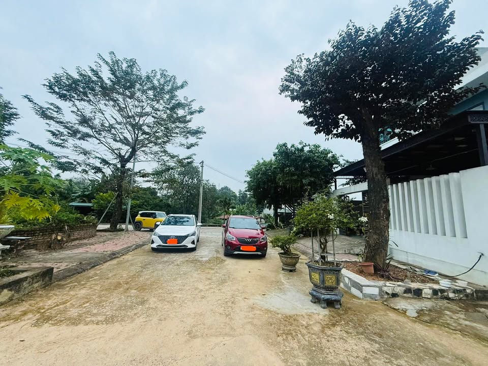 Đất thổ cư 689m² tại trung tâm TP Yên Bái - Giá chỉ 5.9 tỷ!