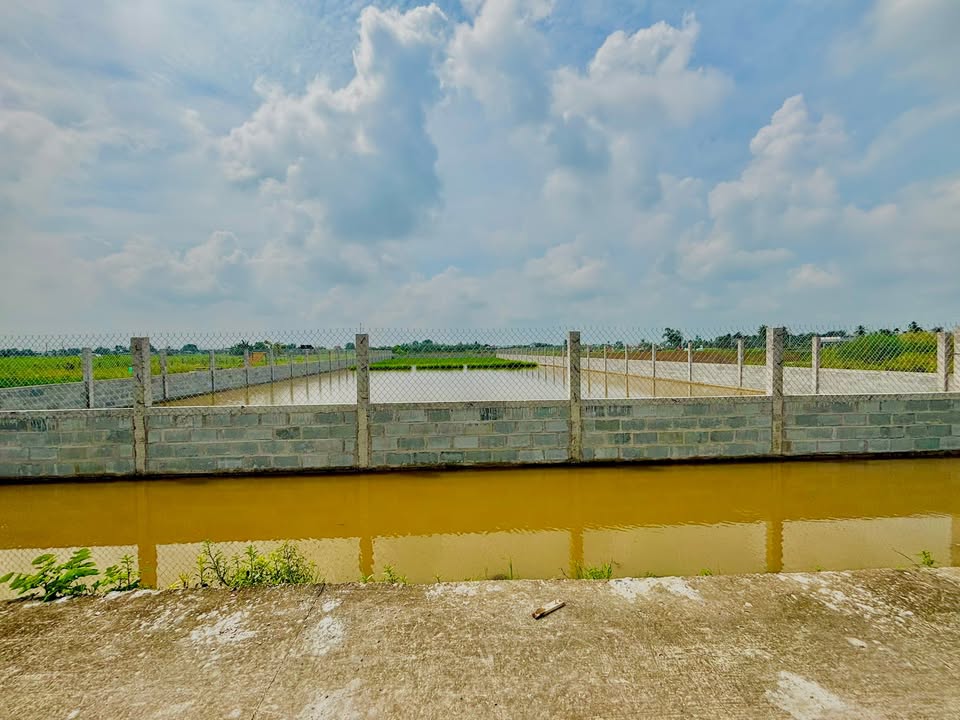 Đất nền ấp 1 Lạc Tấn, Tân Trụ, Long An 1960m² giá 1.8 tỷ - Đầu tư lý tưởng!