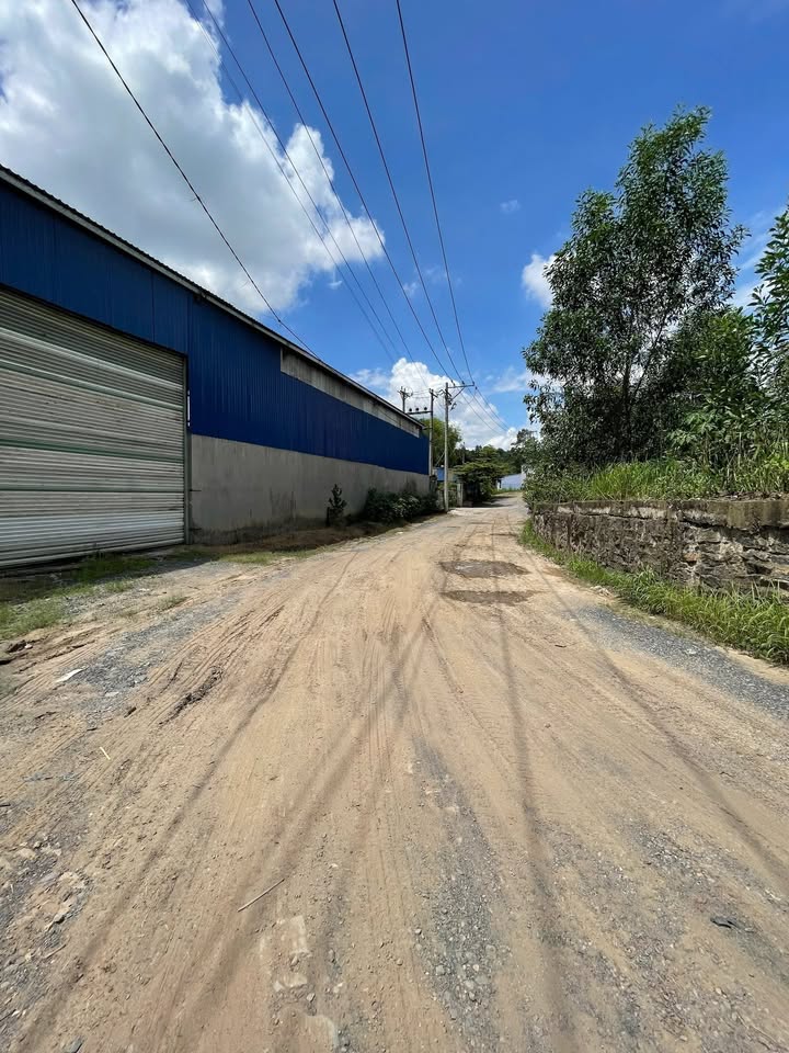 Đất công nghiệp 1.3 mẫu tại xã Thiện Tân, Vĩnh Cửu - Giá 21.6 tỷ, phù hợp mở nhà xưởng!