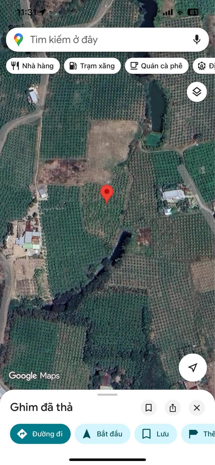 Đất vườn thanh long 1800m² tại Dân Hòa, Bình Thuận - Giá chỉ 165 triệu!