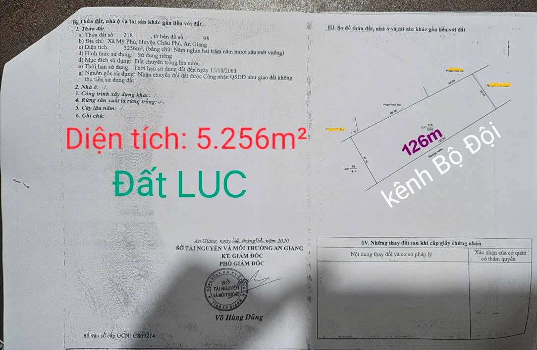 Đất lúa 6 công mặt tiền 145m tại xã Mỹ Phú, An Giang - Giá chỉ 2.7 tỷ, thương lượng tốt!