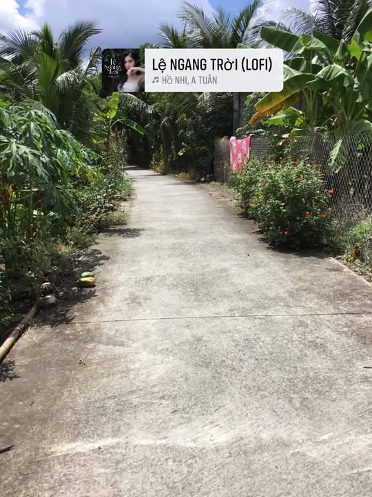 Đất nền ấp Quý Phước, xã Nhị Quý, 95m² - Đầu tư sinh lời ngay!